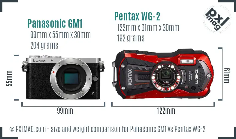 Panasonic GM1 vs Pentax WG-2 size comparison