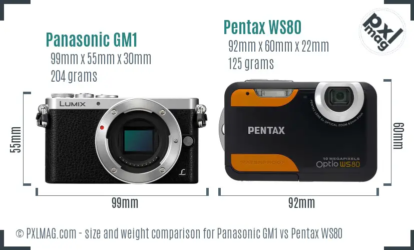 Panasonic GM1 vs Pentax WS80 size comparison