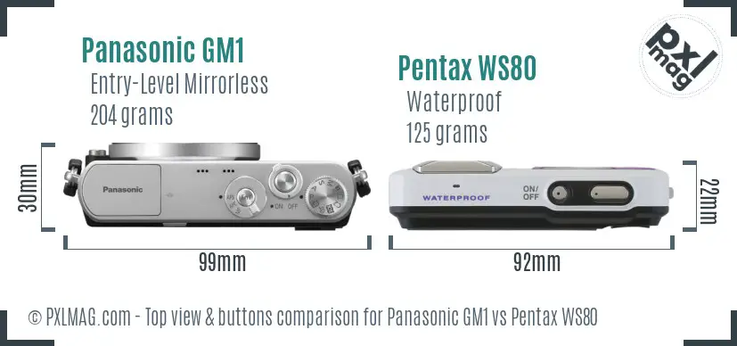 Panasonic GM1 vs Pentax WS80 top view buttons comparison