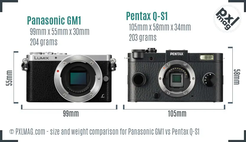 Panasonic GM1 vs Pentax Q-S1 size comparison