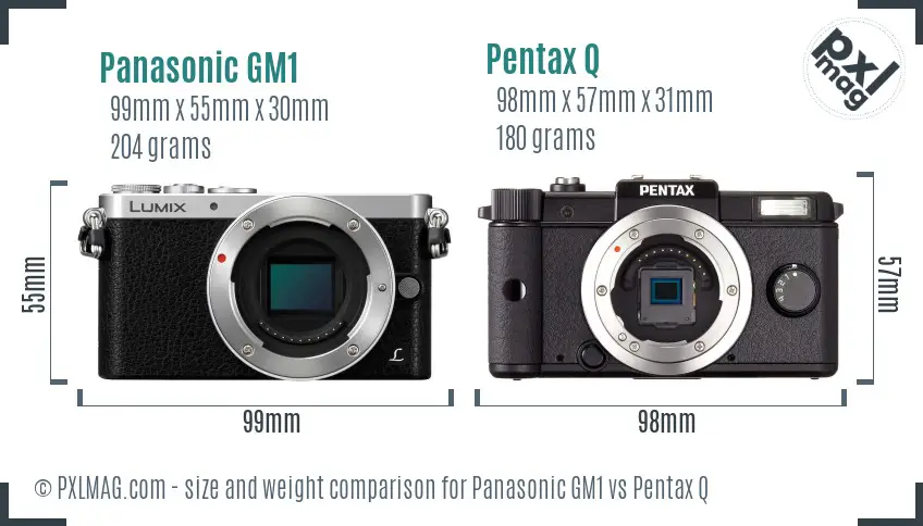 Panasonic GM1 vs Pentax Q size comparison