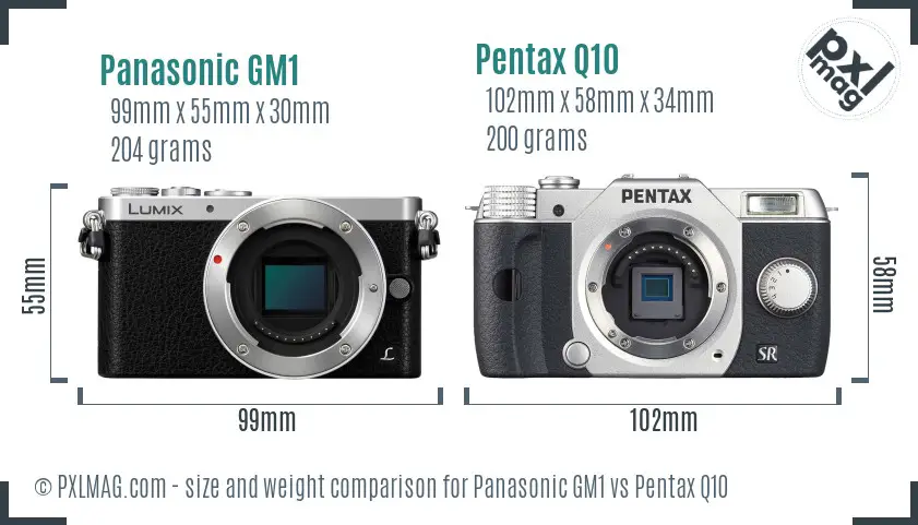 Panasonic GM1 vs Pentax Q10 size comparison