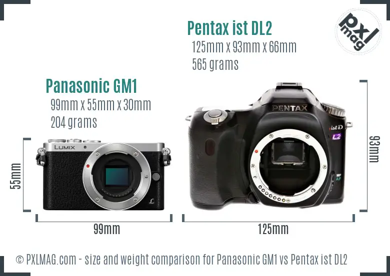 Panasonic GM1 vs Pentax ist DL2 size comparison