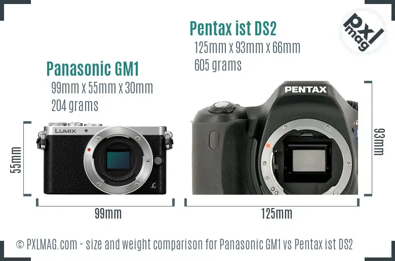 Panasonic GM1 vs Pentax ist DS2 size comparison
