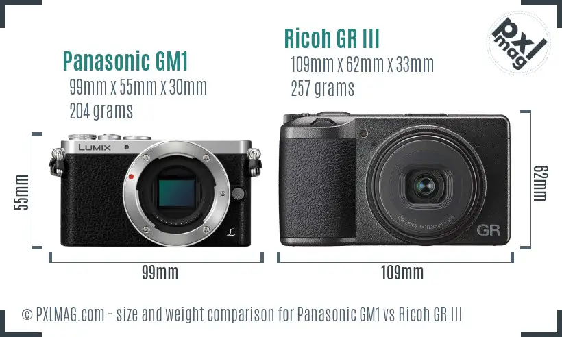 Panasonic GM1 vs Ricoh GR III size comparison