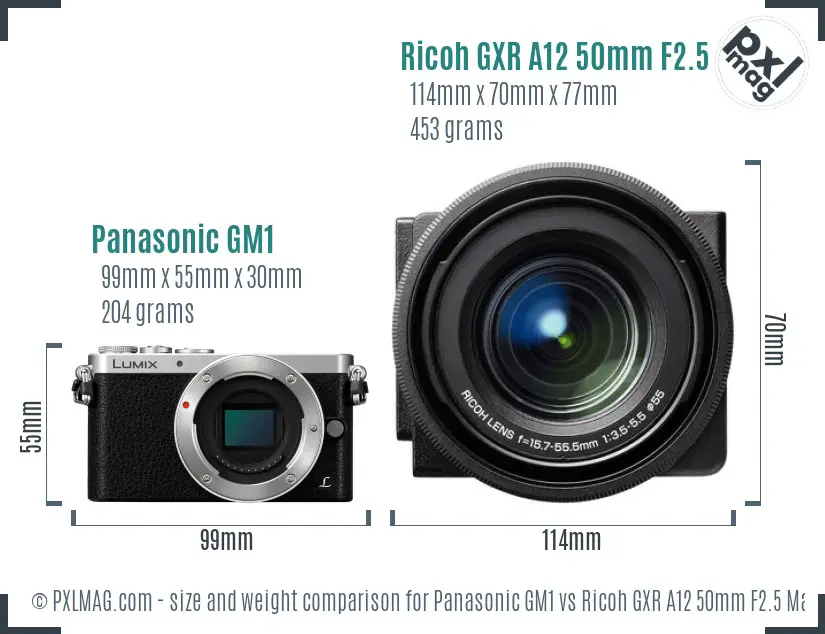 Panasonic GM1 vs Ricoh GXR A12 50mm F2.5 Macro size comparison