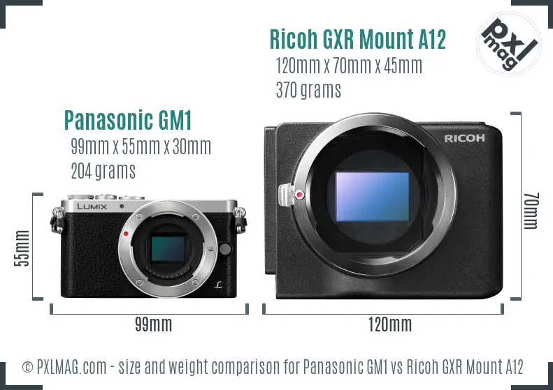 Panasonic GM1 vs Ricoh GXR Mount A12 size comparison