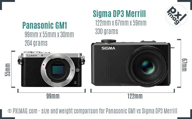 Panasonic GM1 vs Sigma DP3 Merrill size comparison Panasonic GM1 vs Sigma DP3 Merrill size comparison
