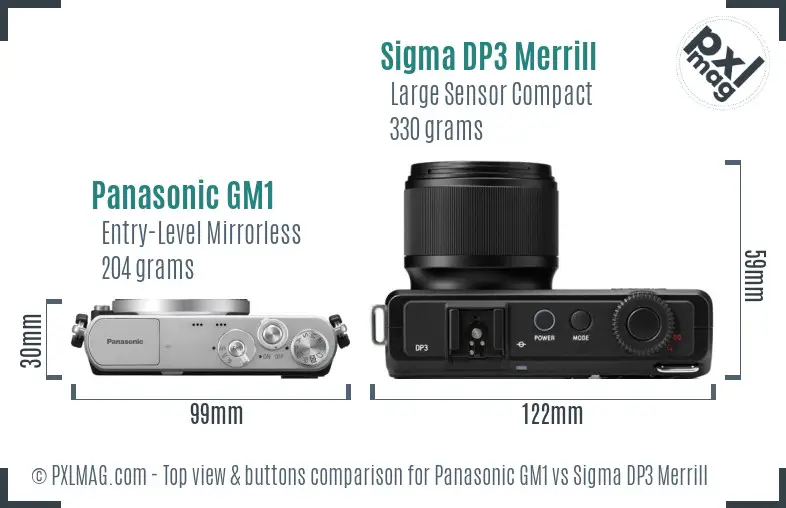 Panasonic GM1 vs Sigma DP3 Merrill top view buttons comparison Panasonic GM1 vs Sigma DP3 Merrill top view buttons comparison
