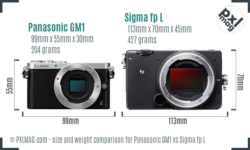 Panasonic GM1 vs Sigma fp L size comparison