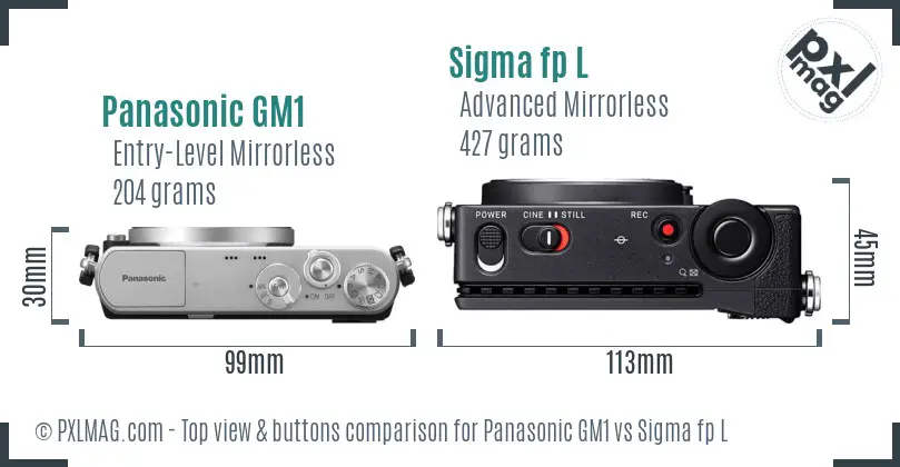 Panasonic GM1 vs Sigma fp L top view buttons comparison