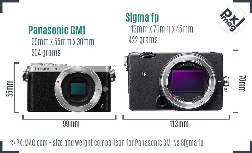 Panasonic GM1 vs Sigma fp size comparison