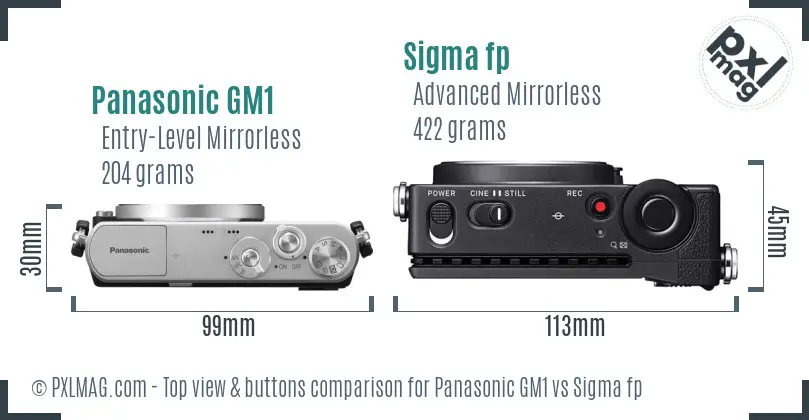 Panasonic GM1 vs Sigma fp top view buttons comparison