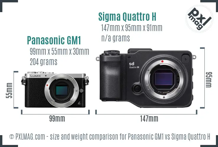 Panasonic GM1 vs Sigma Quattro H size comparison