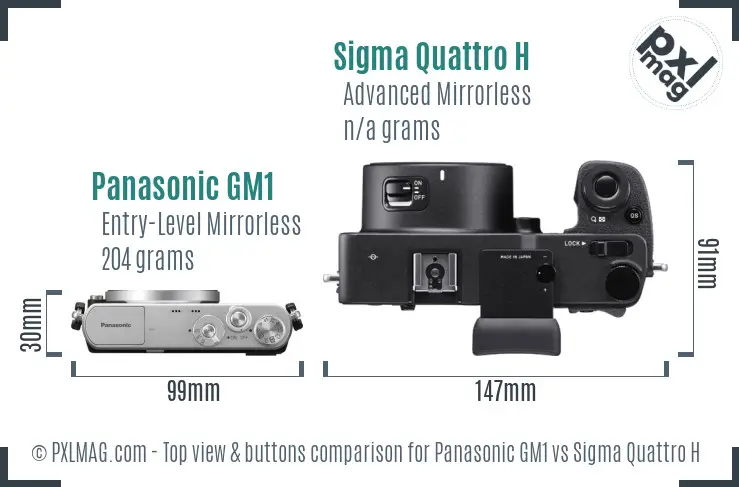 Panasonic GM1 vs Sigma Quattro H top view buttons comparison