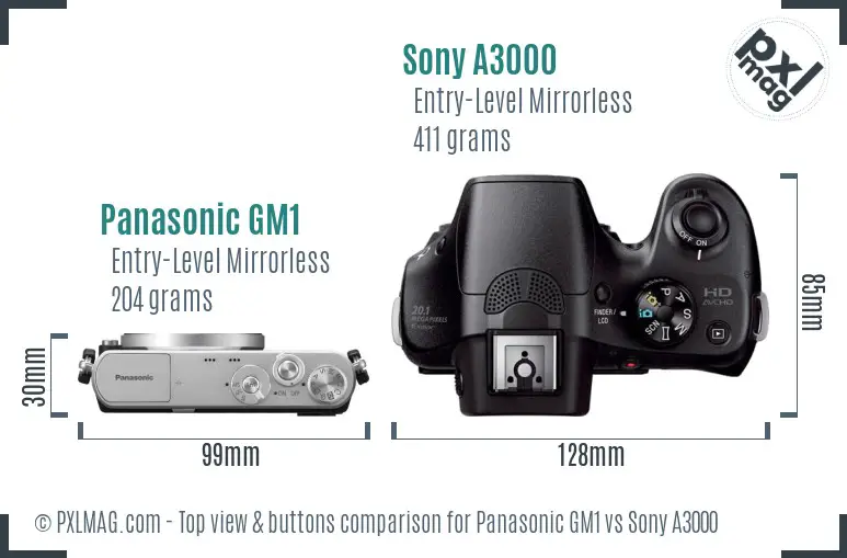 Panasonic GM1 vs Sony A3000 top view buttons comparison