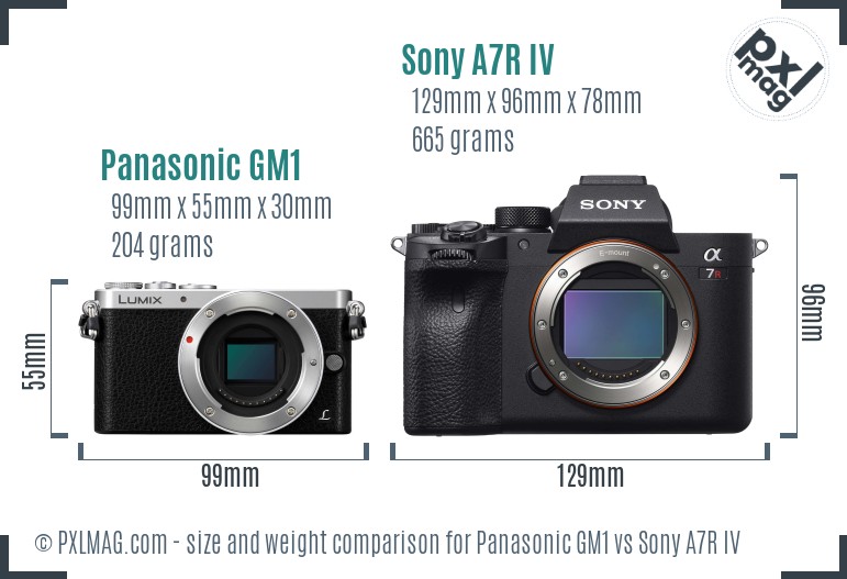 Panasonic GM1 vs Sony A7R IV size comparison Panasonic GM1 vs Sony A7R IV size comparison