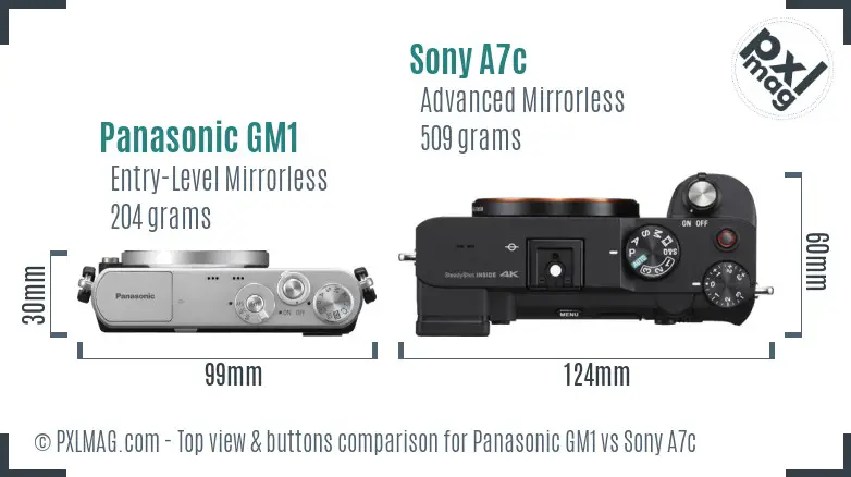 Panasonic GM1 vs Sony A7c top view buttons comparison