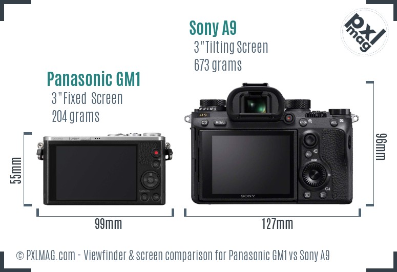 Panasonic GM1 vs Sony A9 Screen and Viewfinder comparison