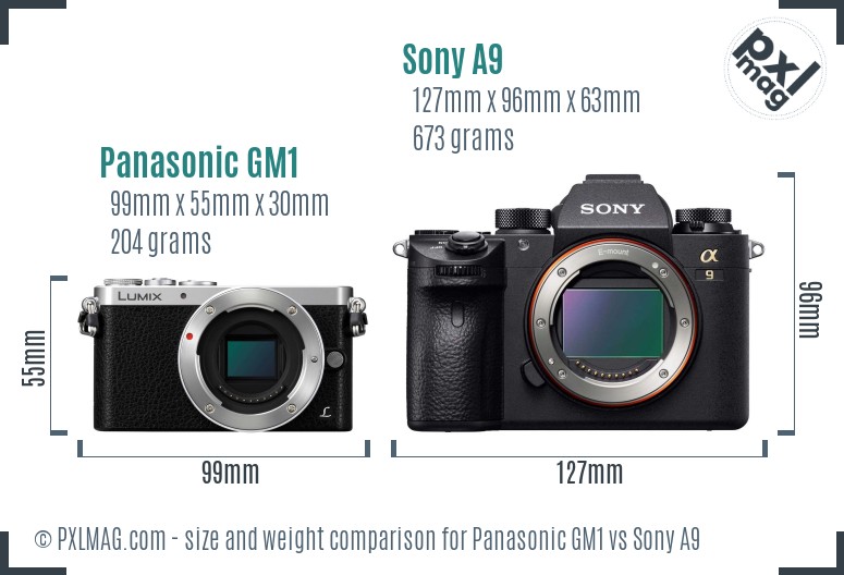 Panasonic GM1 vs Sony A9 size comparison Panasonic GM1 vs Sony A9 size comparison