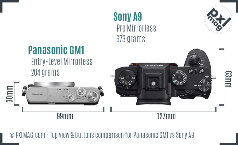 Panasonic GM1 vs Sony A9 top view buttons comparison