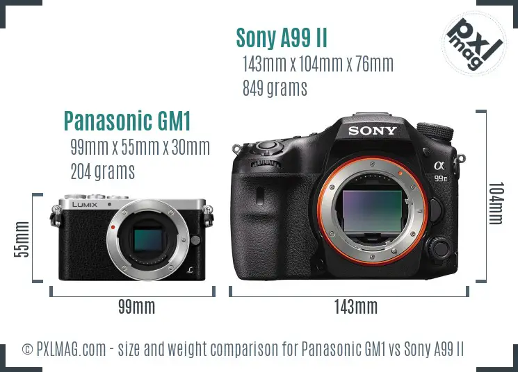 Panasonic GM1 vs Sony A99 II size comparison