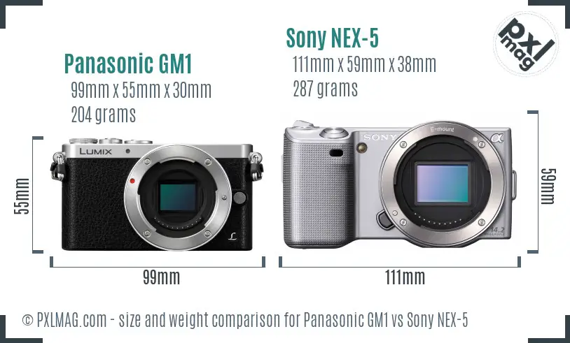 Panasonic GM1 vs Sony NEX-5 size comparison