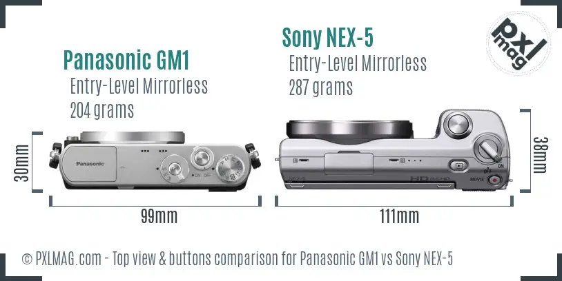 Panasonic GM1 vs Sony NEX-5 top view buttons comparison