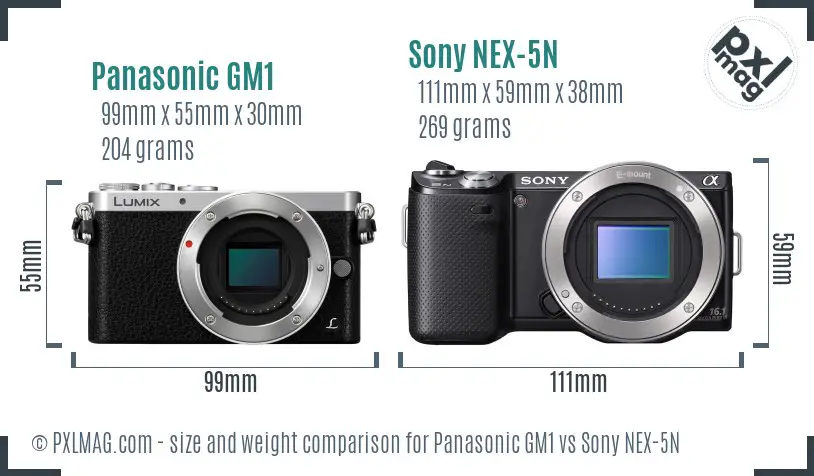 Panasonic GM1 vs Sony NEX-5N size comparison