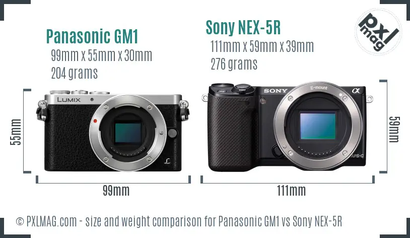 Panasonic GM1 vs Sony NEX-5R size comparison