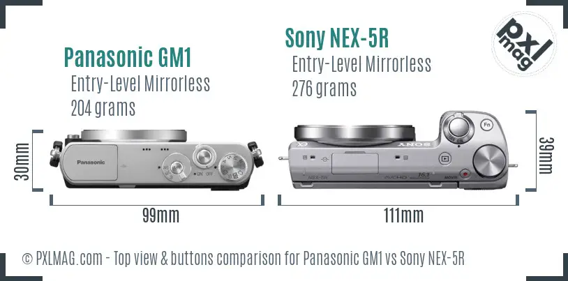 Panasonic GM1 vs Sony NEX-5R top view buttons comparison