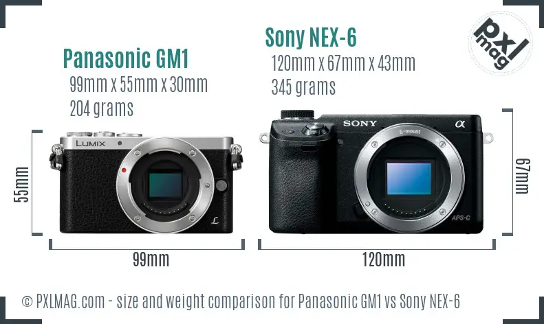 Panasonic GM1 vs Sony NEX-6 size comparison