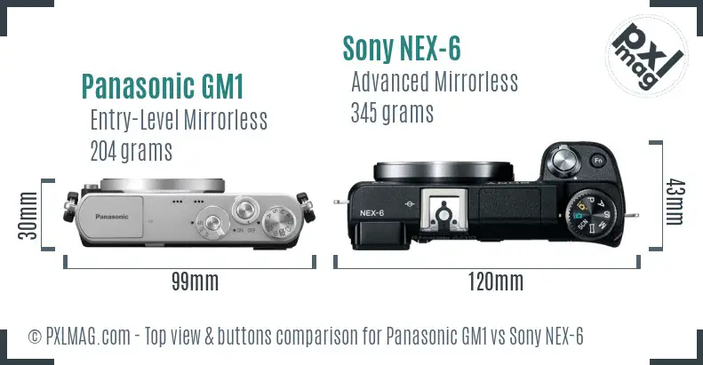 Panasonic GM1 vs Sony NEX-6 top view buttons comparison