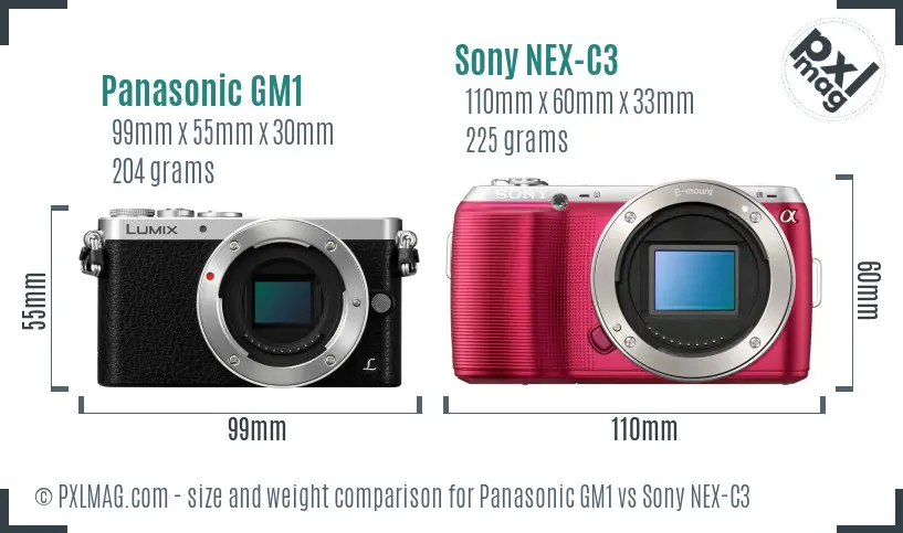 Panasonic GM1 vs Sony NEX-C3 size comparison