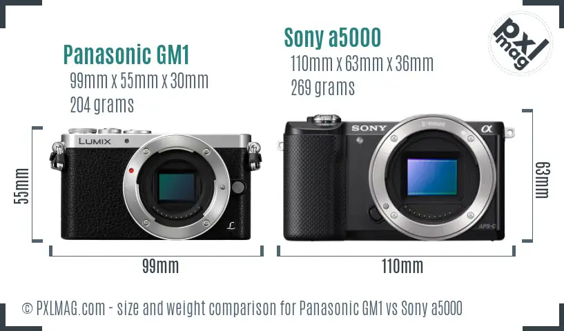 Panasonic GM1 vs Sony a5000 size comparison