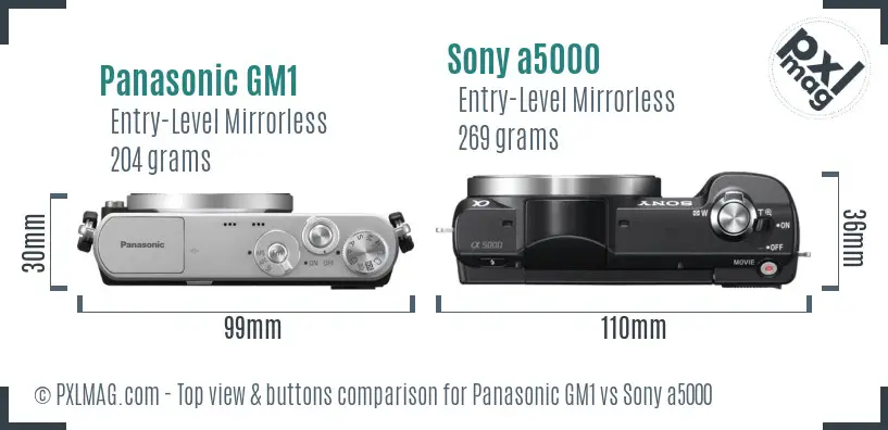 Panasonic GM1 vs Sony a5000 top view buttons comparison