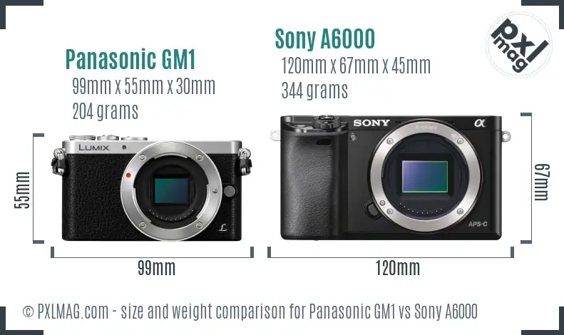 Panasonic GM1 vs Sony A6000 size comparison