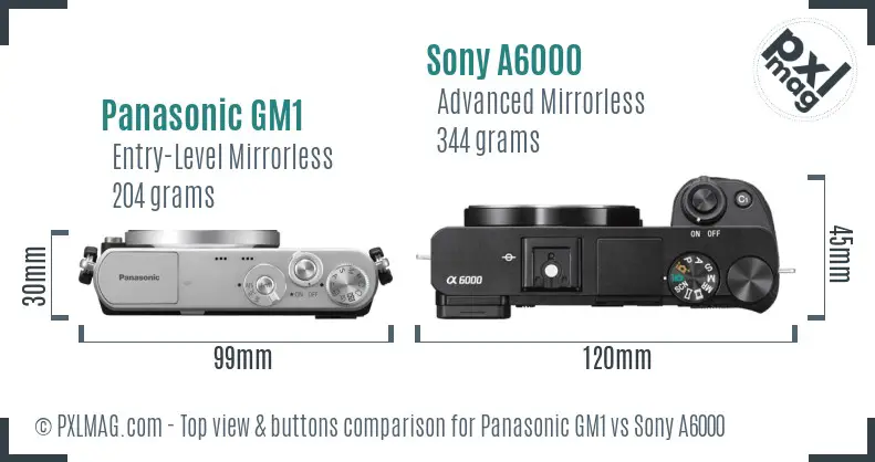 Panasonic GM1 vs Sony A6000 top view buttons comparison