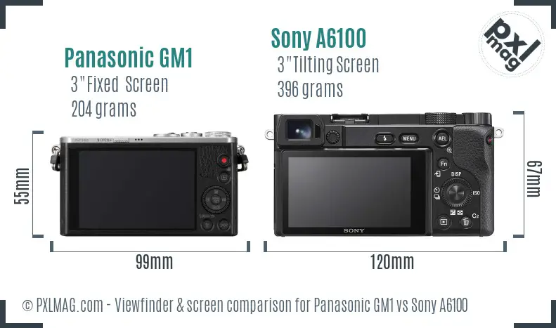 Panasonic GM1 vs Sony A6100 Screen and Viewfinder comparison