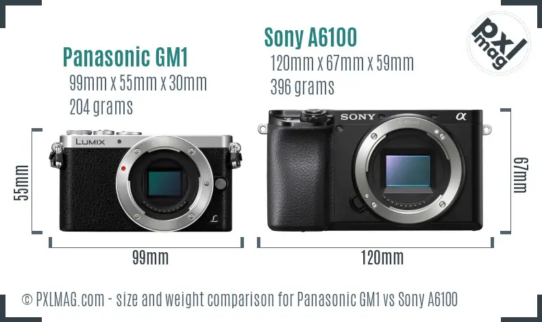 Panasonic GM1 vs Sony A6100 size comparison