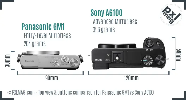 Panasonic GM1 vs Sony A6100 top view buttons comparison