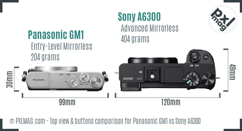 Panasonic GM1 vs Sony A6300 top view buttons comparison