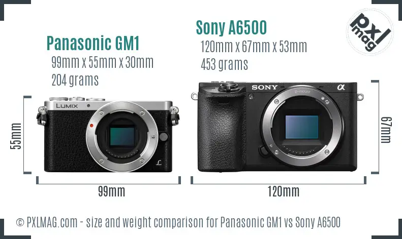 Panasonic GM1 vs Sony A6500 size comparison