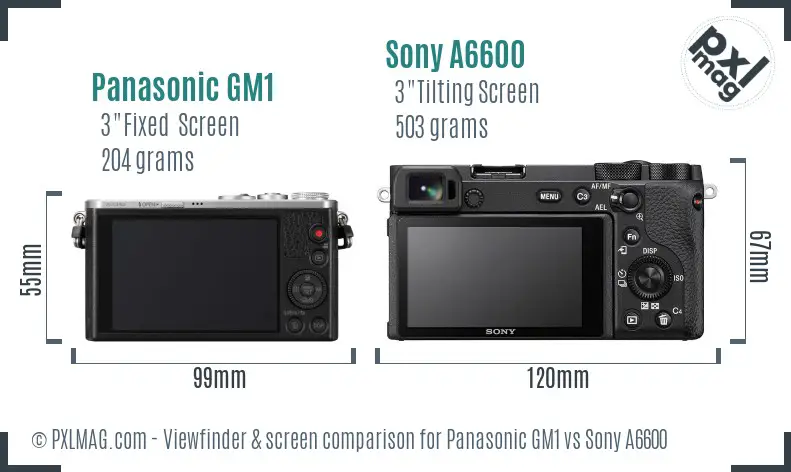 Panasonic GM1 vs Sony A6600 Screen and Viewfinder comparison Panasonic GM1 vs Sony A6600 Screen and Viewfinder comparison