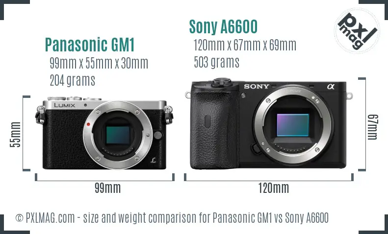 Panasonic GM1 vs Sony A6600 size comparison Panasonic GM1 vs Sony A6600 size comparison