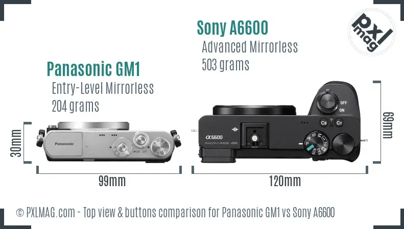 Panasonic GM1 vs Sony A6600 top view buttons comparison Panasonic GM1 vs Sony A6600 top view buttons comparison