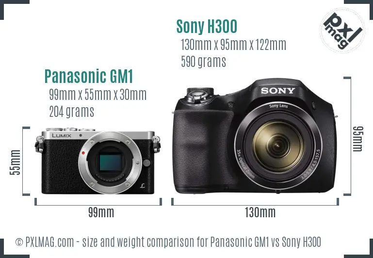 Panasonic GM1 vs Sony H300 size comparison