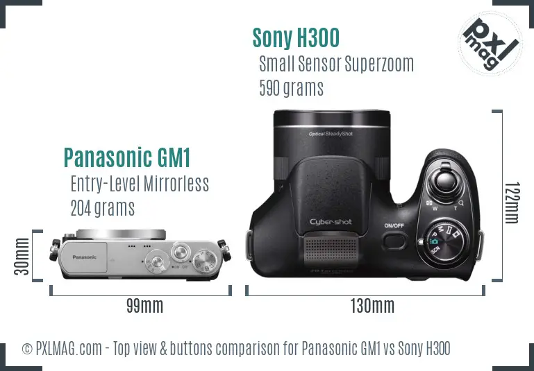 Panasonic GM1 vs Sony H300 top view buttons comparison