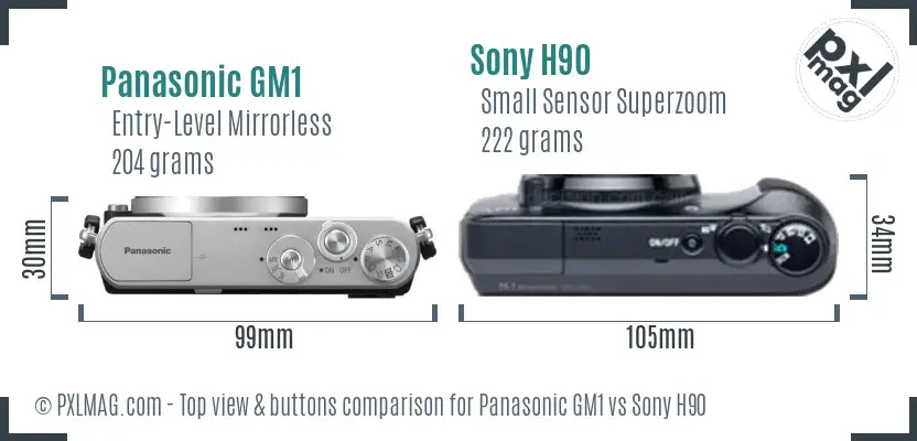 Panasonic GM1 vs Sony H90 top view buttons comparison