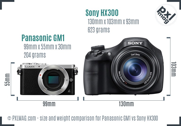 Panasonic GM1 vs Sony HX300 size comparison